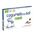 Cogumelo-do-Sol.webp