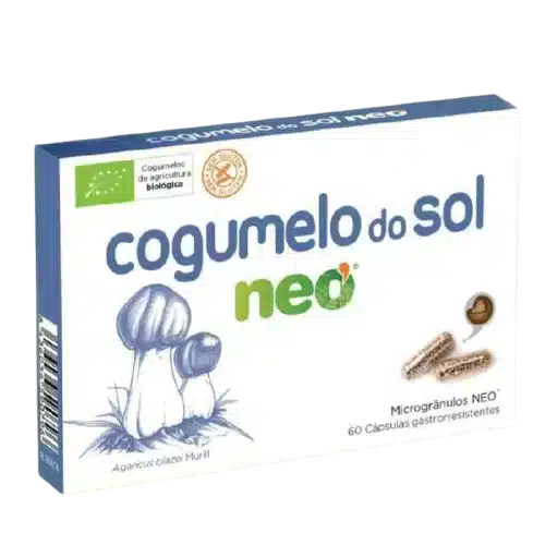 Cogumelo-do-Sol.webp