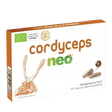 Cordyceps.webp