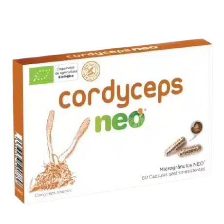 Cordyceps.webp