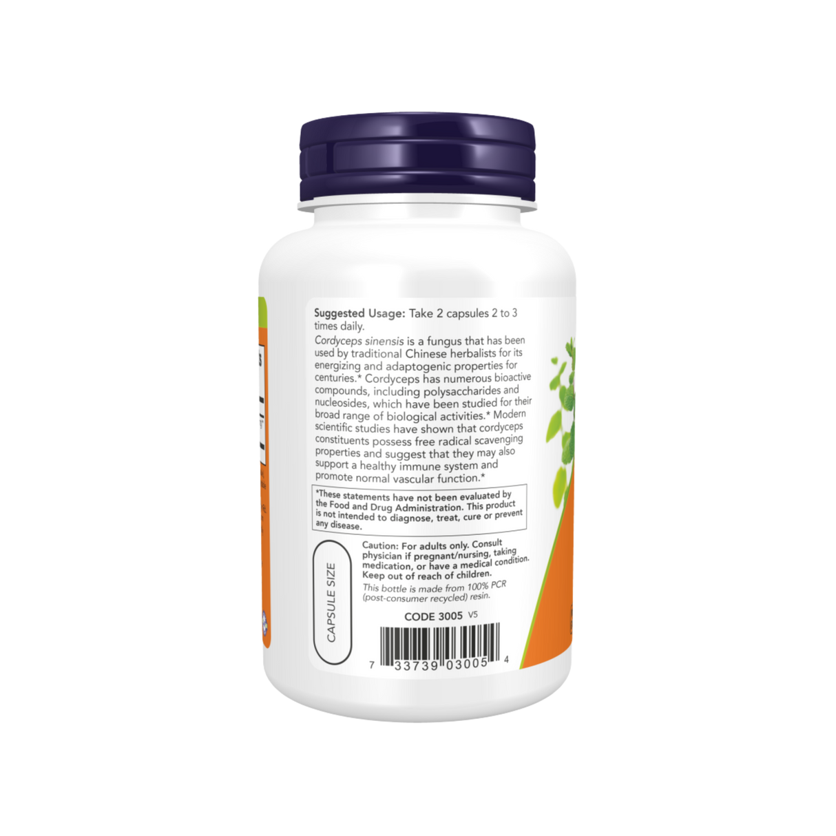 Cordyceps 750mg  90cap – Now Foods