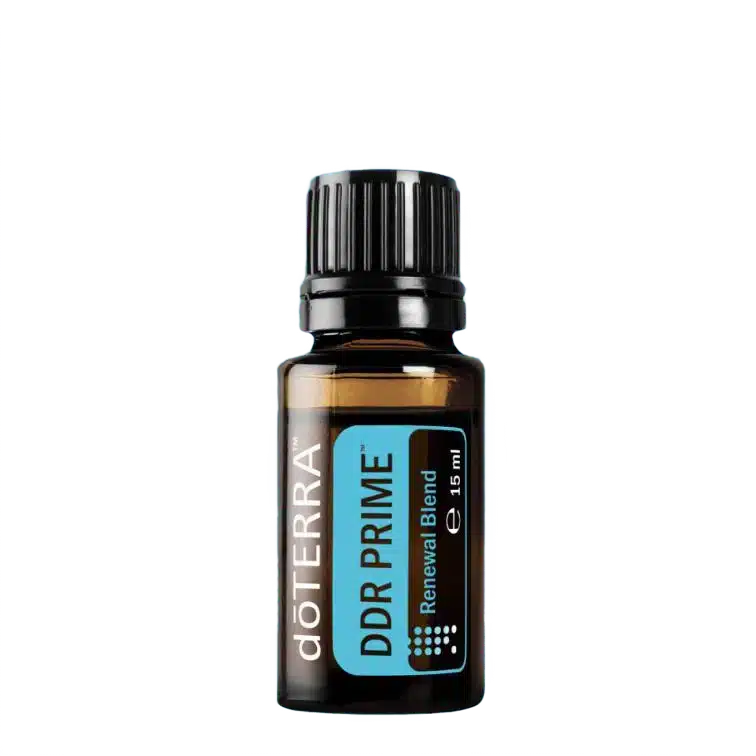 DDR-PRIME-15ml.webp