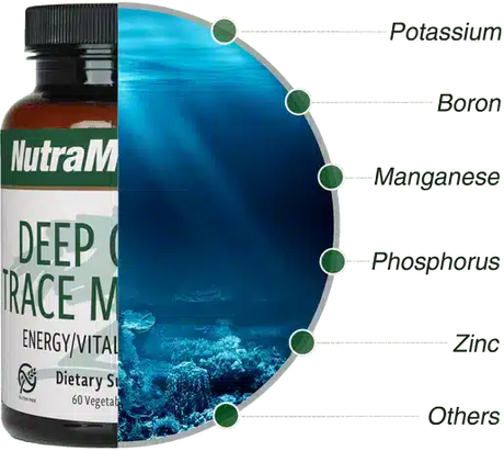 Deep_Ocean_Trace_Minerals_60vcap_Nutramedix_4.webp