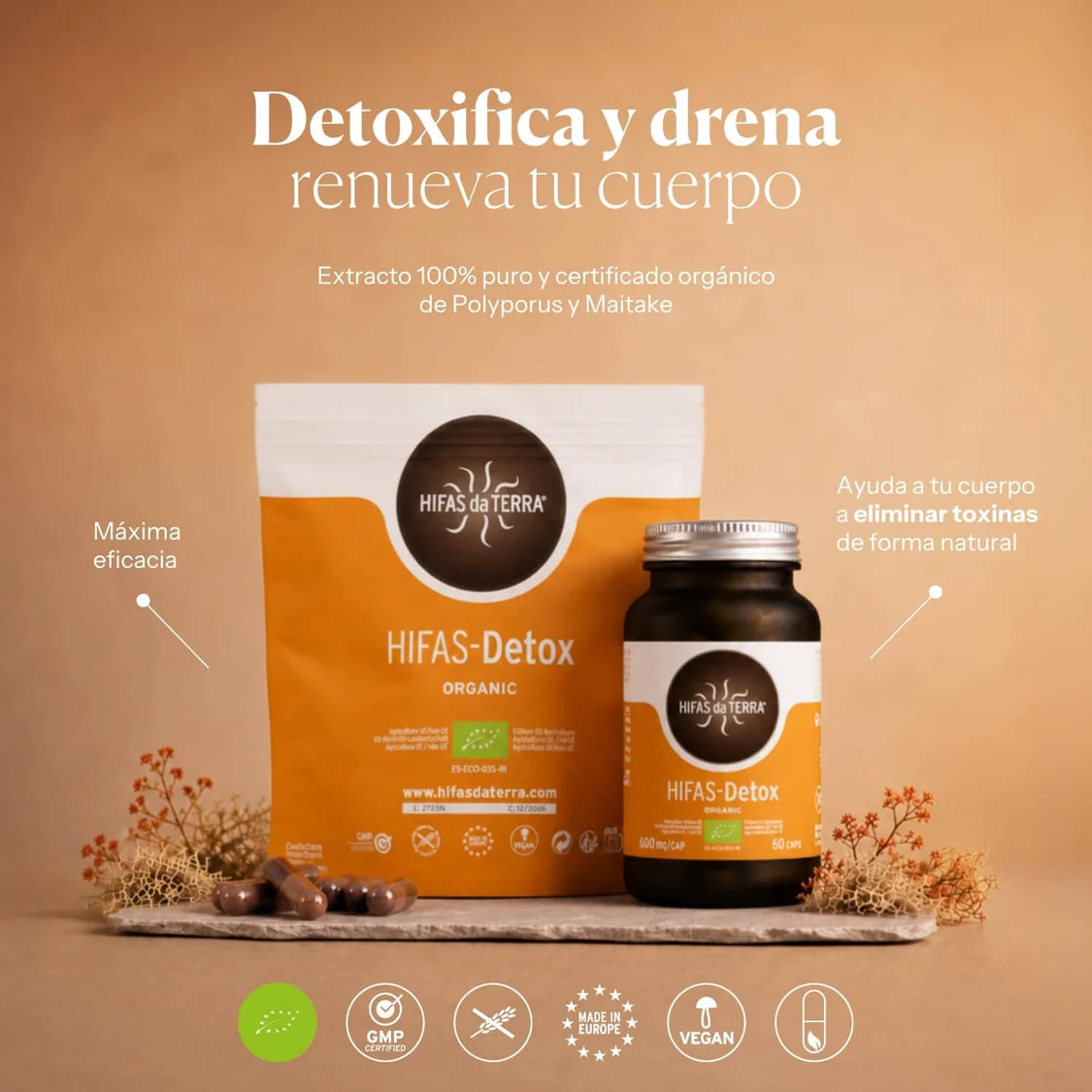 Hifas Detox Recarga 60cap - Hifas da Terra