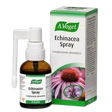 Echinacea-Spray.webp