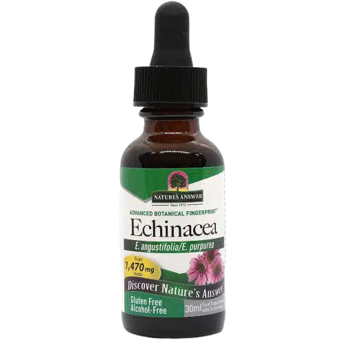 Echinacea.webp