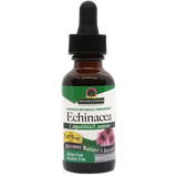 Echinacea.webp