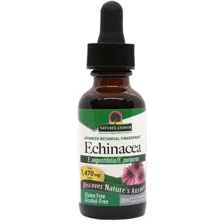 Echinacea.webp