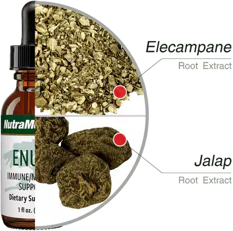 Enula-30ml-Nutramedix-4.webp