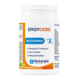 ErgyCebe.webp