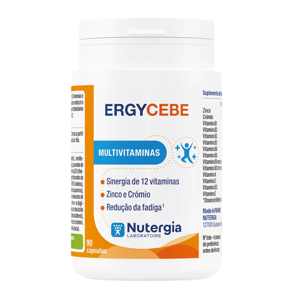 ErgyCebe.webp