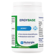 Ergybase.webp