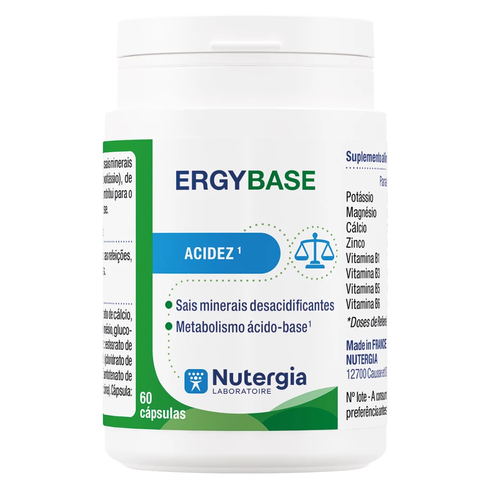 Ergybase.webp