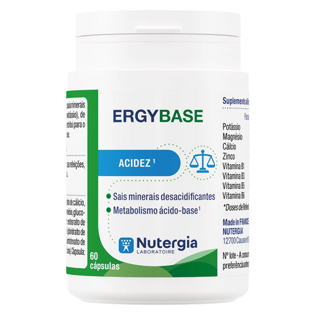 Ergybase.webp