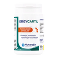 Ergycartil.webp