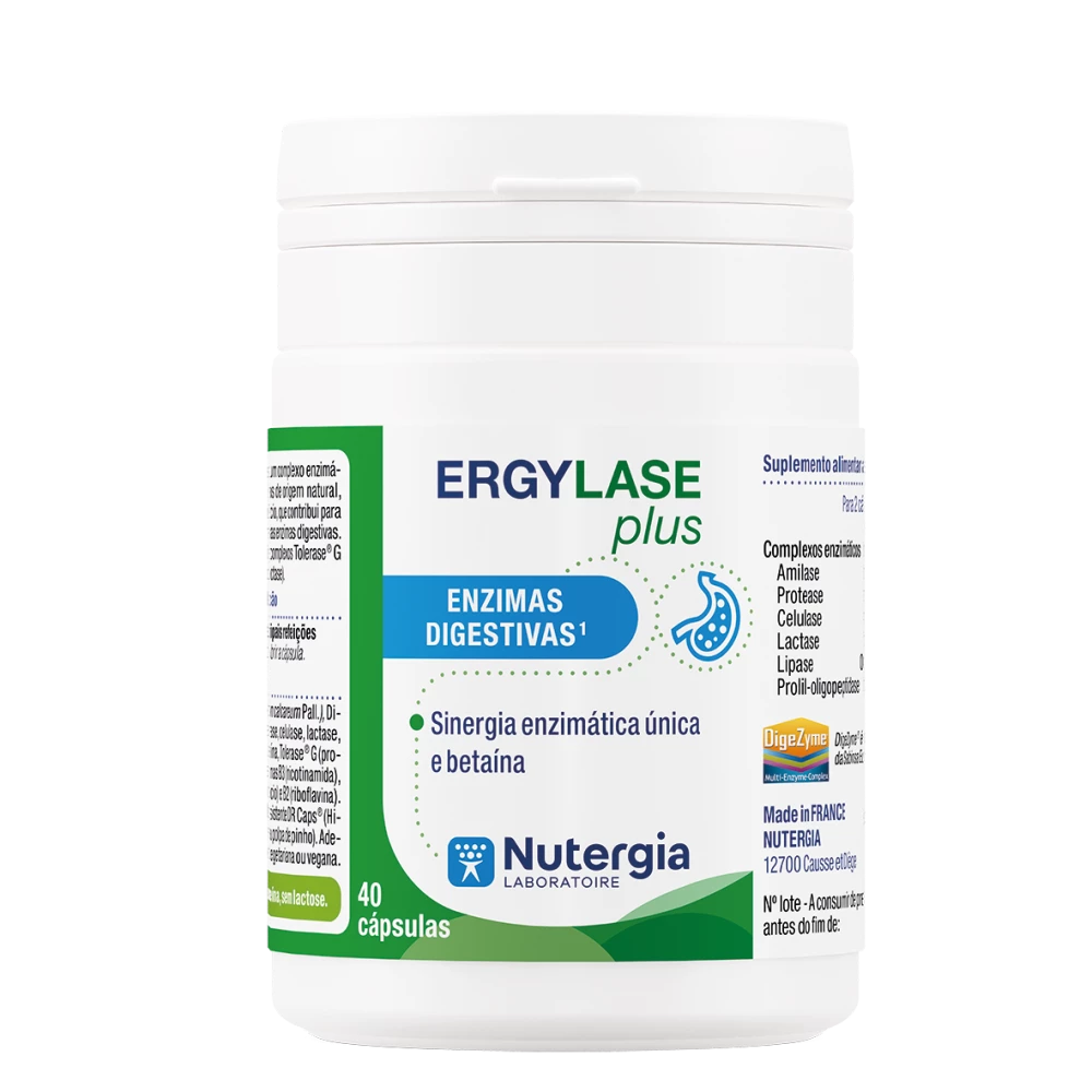 Ergylase-Plus.webp