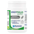 Ergyphilus-Confort.webp