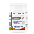 Ergyphilus-Hpy-frente.webp