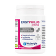 Ergyphilus-Intima-frente.webp