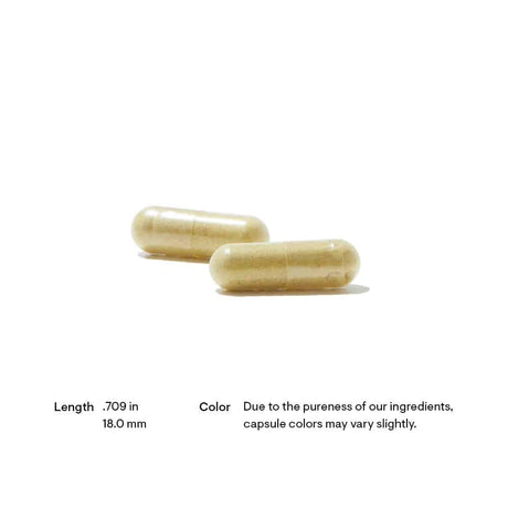Grape-Seed-Extract7.jpeg