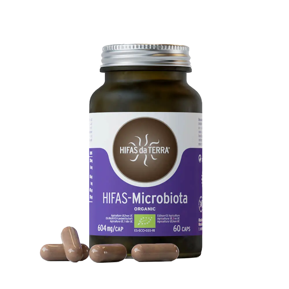 Hifas-Microbiota-4.webp