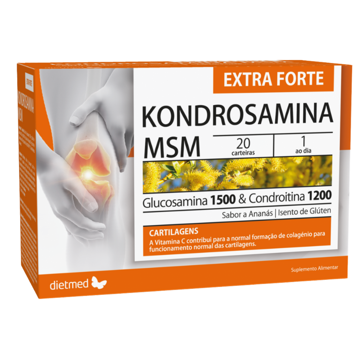 Kondrosamina Msm Extra Forte 20 cart - Dietmed