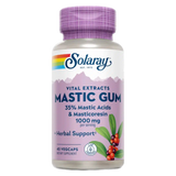 Mastic-Gum-45vcap-Solaray.webp