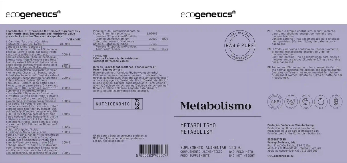 Metabolismo-2.webp