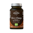 Mico-Chaga-70cap-Hifas-da-Terra