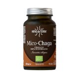 Mico-Chaga-70cap-Hifas-da-Terra