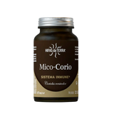 Mico-Corio-70cap-Hifas-da-Terra