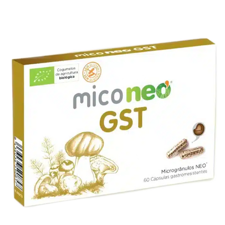 Mico-NEO-gst.webp