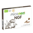 Mico-NEO-ngf.webp