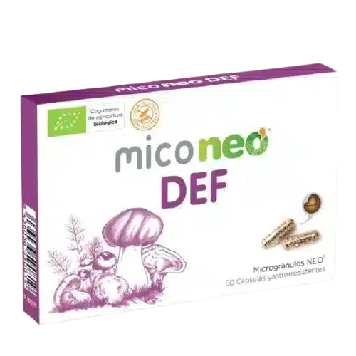 Miconeo-DEF.webp