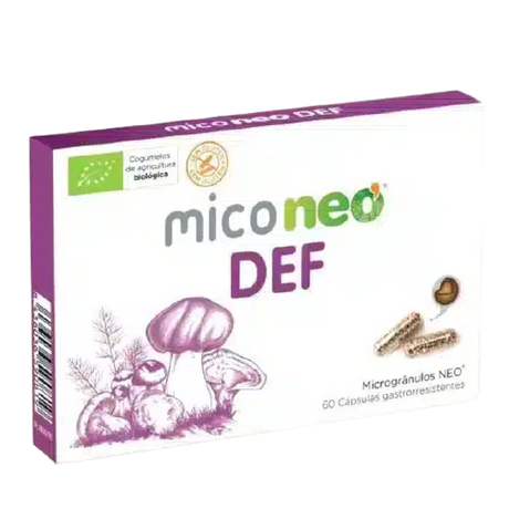 Miconeo-DEF.webp