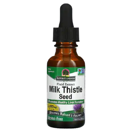 Milk-Thistle.webp