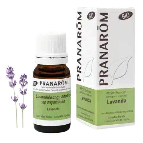 OE-Lavanda.webp