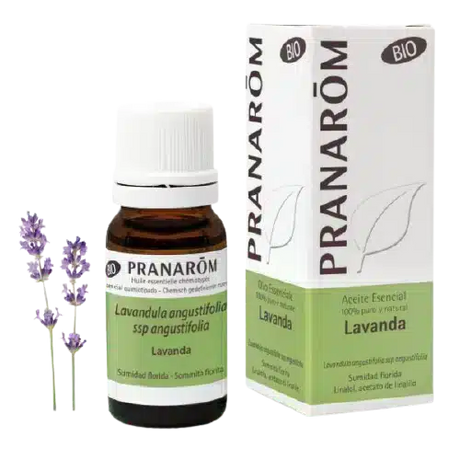 OE-Lavanda.webp