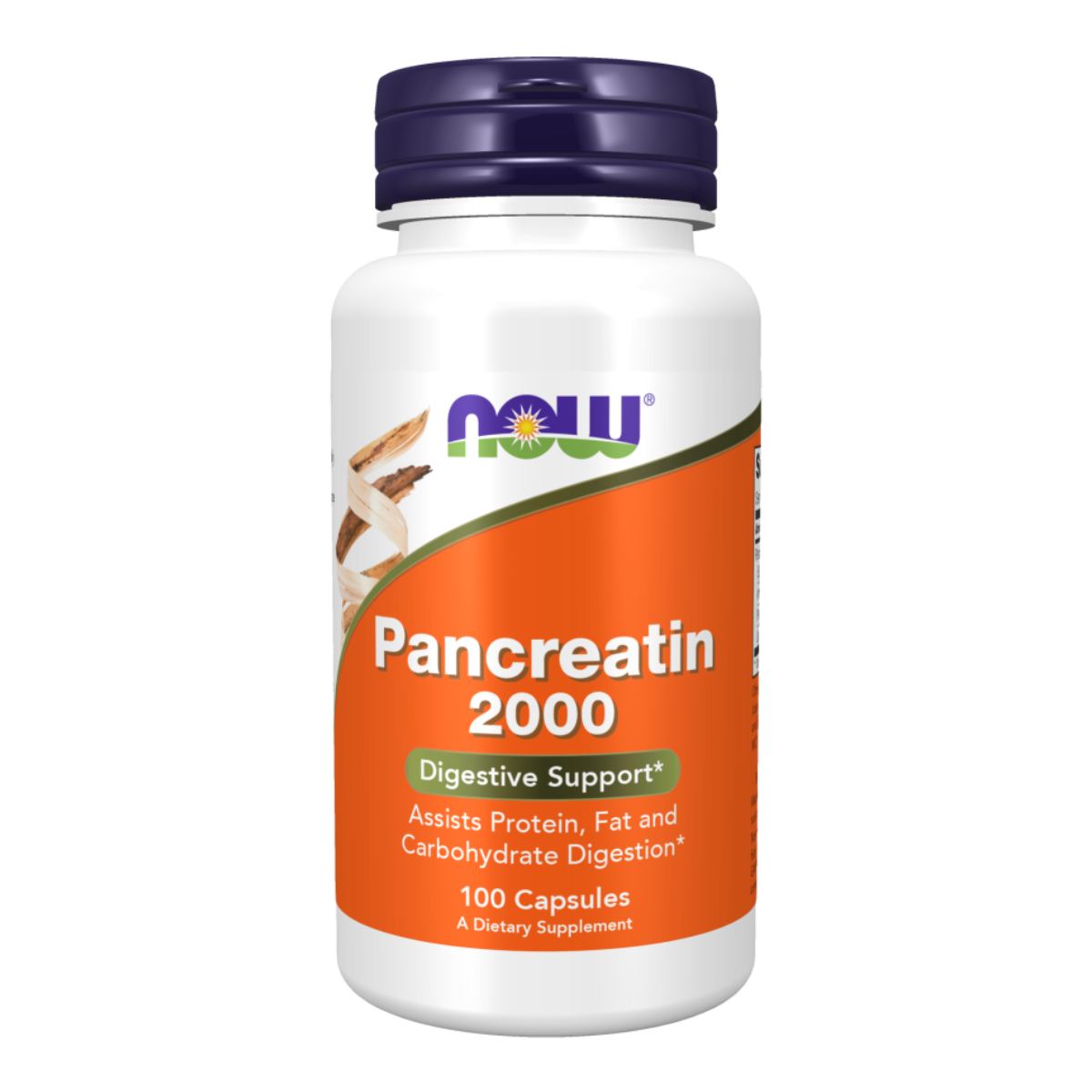 Pancreatin 2000 100cap - Now