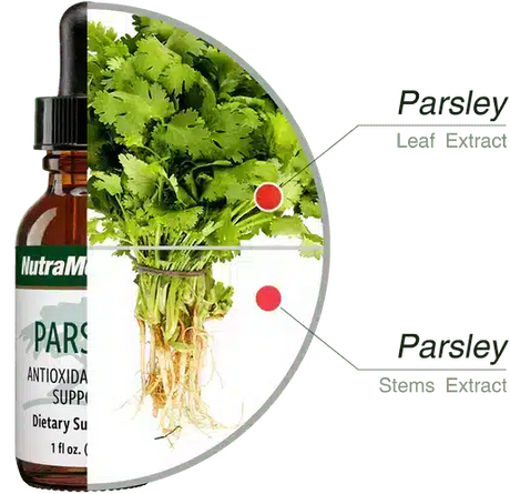 Parsley_30ml_Nutramedix_4.webp