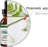 Pinella_30ml_Nutramedix_4.webp