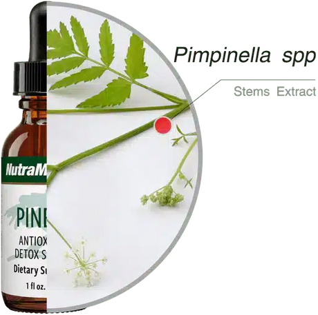 Pinella_30ml_Nutramedix_4.webp