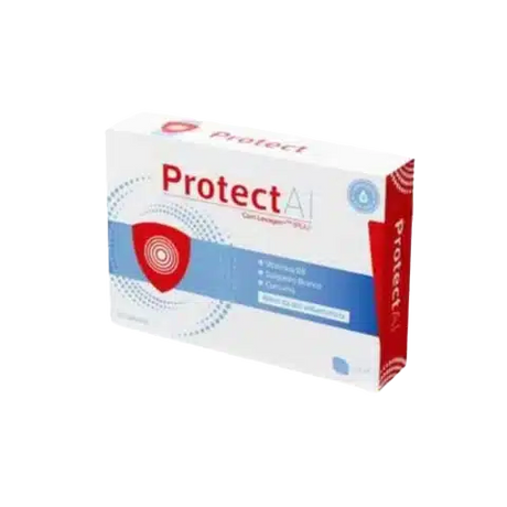 Protect-AI.webp