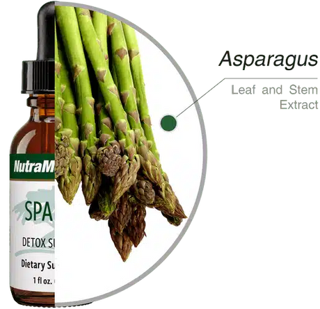 Sparga_30ml_Nutramedix_3.webp