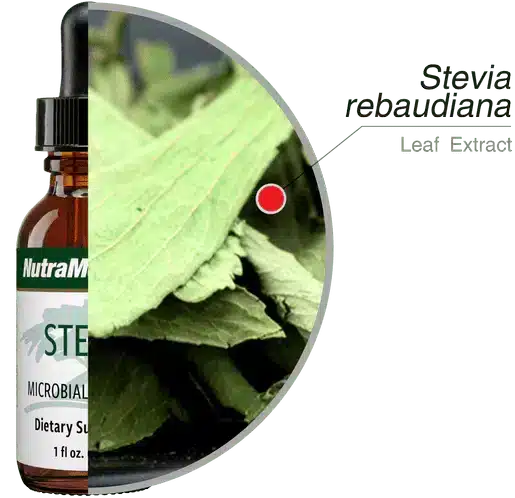 Stevia_30ml_Nutramedix_4.webp