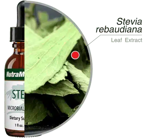 Stevia_30ml_Nutramedix_4.webp