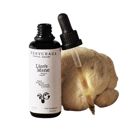 Lion's Mane Extract 50ml – VeryChaga