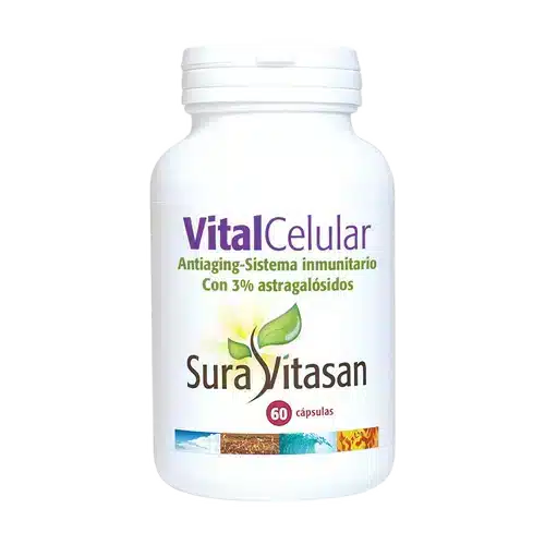 Vital-Celular.webp