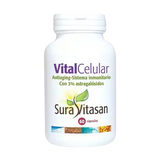 Vital-Celular.webp