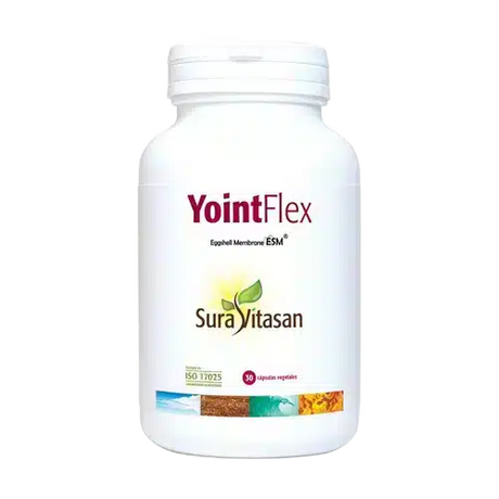 Yointflex-1.webp